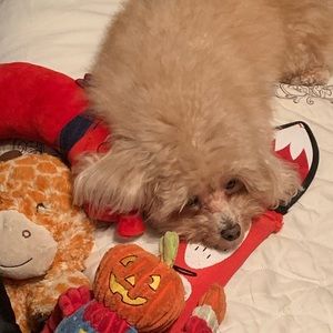 Meet your Posher, Aleise